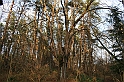 Rostoczek 11.2008 120